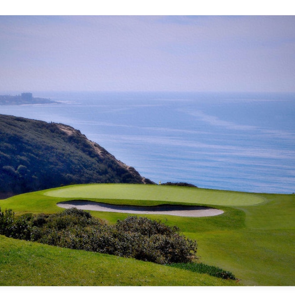 Meet your Posher, Ross